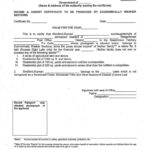 EWS Form PDF 2021 | EWS Certificate Apply Online